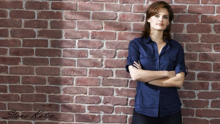 Stana Katic - sexy, actress, drama, stana katic, tv series, film, heroes, beautiful, crime, castle