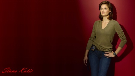 Stana Katic - sexy, actress, drama, stana katic, tv series, film, heroes, beautiful, crime, castle