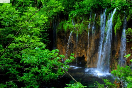 Waterfall - nature, lake, water, tree, waterfall