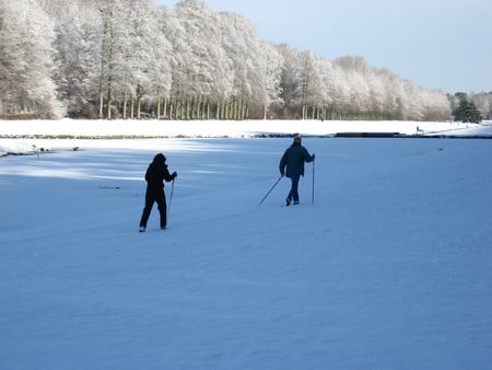 Winter 2010 - winter, parks, tervuren