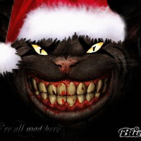 Christmas Cheshire