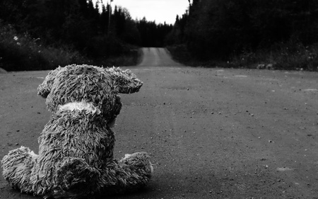 Please come Back ...... - abstract, lonely, photography, teddy, road, lost