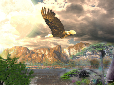 Landscape - sky, sundown, eagle, clouds, 3d and cg, sunset