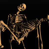 Skeleton with friend