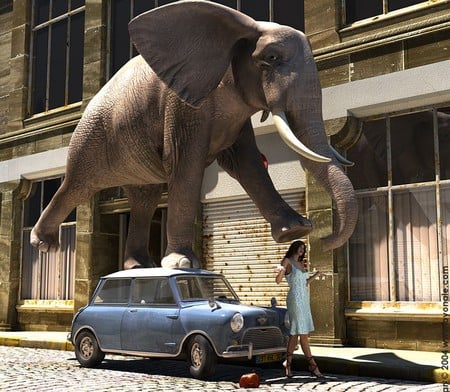 artwork - woman, elephant, car, 3d, funny