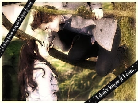 Edward & Bella - swan, love, cullen, bella, twilight, edward