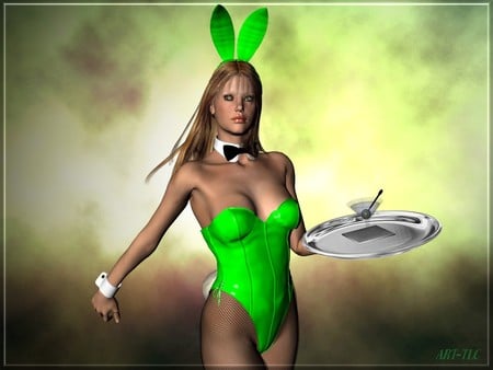 playbunny4 - playbunny4