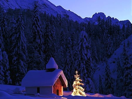 Christmas Tree - christmas, picture, at night, mountains, cool, hut, tree