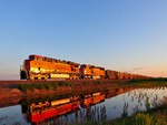 Train Twins