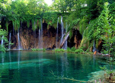 Beautiful Waterfall - water, nature, waterfall, lake, grass, tree