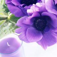 flower & candle