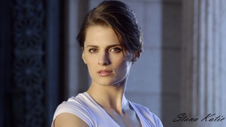 Stana Katic - sexy, actress, drama, stana katic, tv series, film, heroes, beautiful, crime, castle