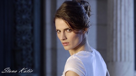 Stana Katic - sexy, actress, drama, stana katic, tv series, film, heroes, beautiful, crime, castle