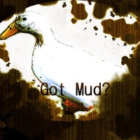 Got mud?