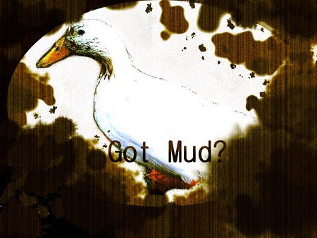 Got mud? - duck, got mud, dirty duck, dirt, mud, chuck