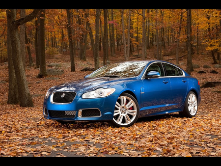 Jaguar XF - 2011, leaves, xf, blue