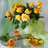 Yellow roses - still life