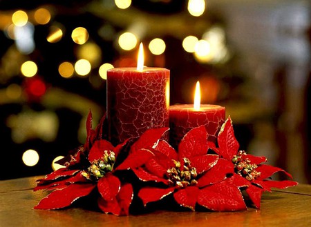 Merry-Christmas - picture, beautiful, candles, merry, flowers, christmas