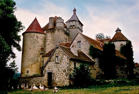 Castle and Geese, France - geese, roofs, towers, grass, round, tree, castle, sky