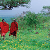 Maasai warriors