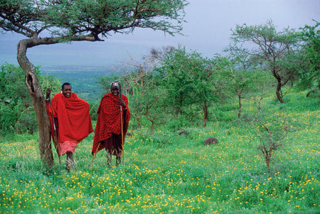 Maasai warriors - tanzania, kenya, maasai, africa