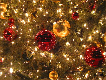 The sparkle of the tree - balls, red, decorations, green, tree, lights, sparkle, gold