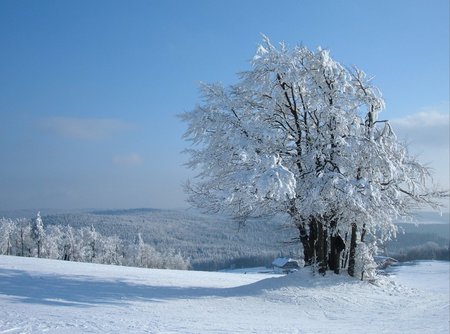 Perfect Day - ice, winter, field, mountains, nature, snow, tree, icy, frozen