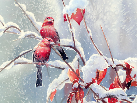 Bourdet_Susan-2007_Songbirds - bird, winter, bourdet susan, painting, snow, art