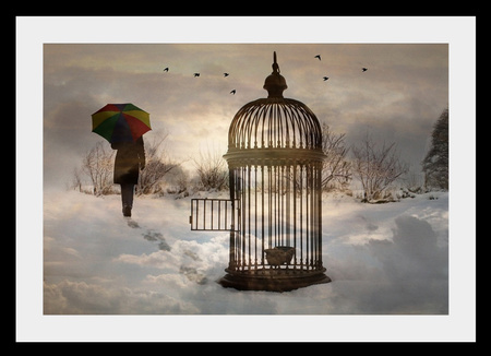 Empty - cage, female, umbrella, snow, birds