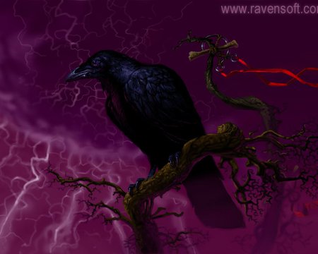 Quoth The Raven - poe, nevermore, darkness, raven