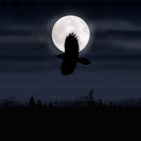 Raven Above Moon