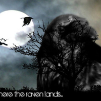 Where the raven lands