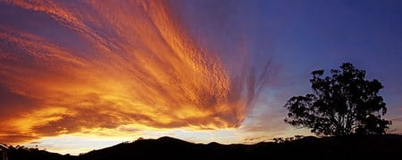 Burning Sky - yellow, blue, flaming, silhouette, orange, tree, sunset, burning, sky