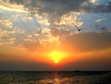 Sunset - sea, sunset, nature, sky