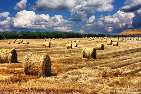 Landscape - blue sky, landscape, nature, fields