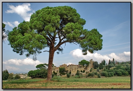 Landscape - nature, tree, blue sky, landscape