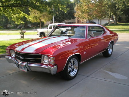 1971 Chevrolet Chevelle SS - chevelle, chevy, muscle, car, classic