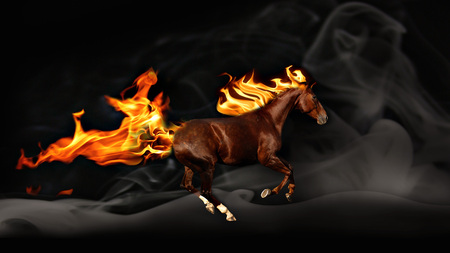 Fire Horse - animal, black, horse, fire