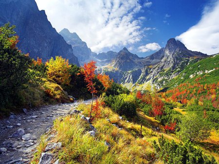 Tatra Mountains - sky, autumn, tatras, mountains, path, slovakia, rocks, weeds, clouds, grass, mountain, coluds, hills, landscape, way, day, daylight, leavs, bushes, nature, beautiful, seasons, splendor, stones, colors