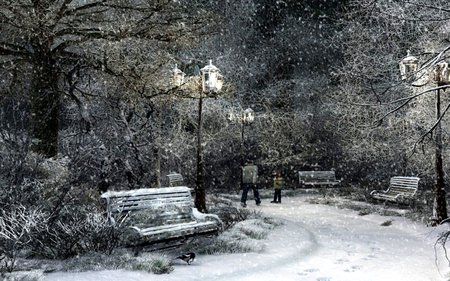 WINTER WALK - park bench, forest, trees, walk, snow, winter