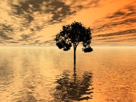 Once upon a time - sunset, water, digital, reflecting, tree, sky