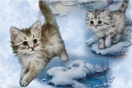 Winter cats - cat, snow, winter, holiday, christmas, kitten