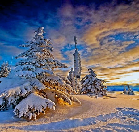 B.C. gold - trees, clouds, snow, canada, winter, blue sky, sunset, gold