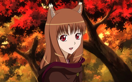 spice and wolf - fall, anime, cute girl, spice and wolf