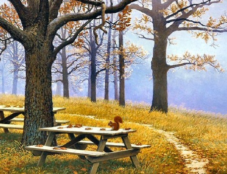 early morning - benches, path, squirrel, trees, mist, park, grass