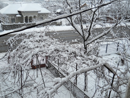 early winter in Romania - landscape, white, winter, romania