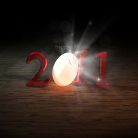 Happy new year 2011