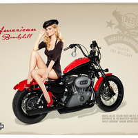 Harley Davidson Military