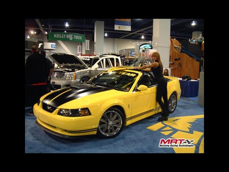 Mustang - ford, mustang, girl, car