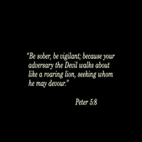 Movie Qoute From Devil